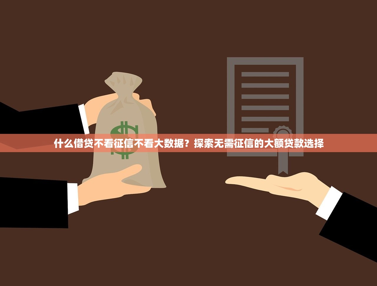 什么借贷不看征信不看大数据？探索无需征信的大额贷款选择