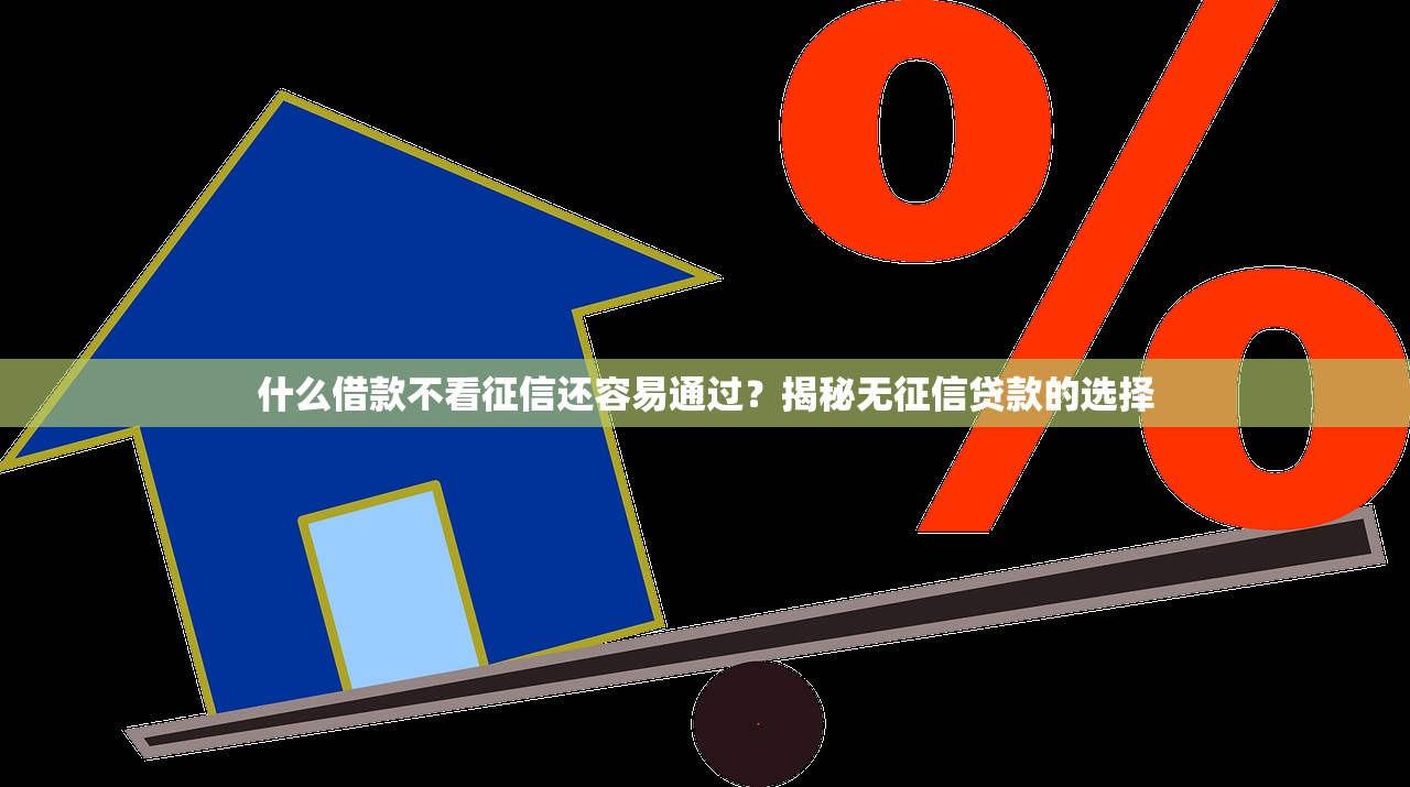 什么借款不看征信还容易通过?揭秘无征信贷款的选择 什么借款不看征信还容易通过?揭秘无征信贷款的选择