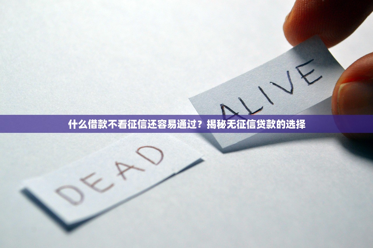 什么借款不看征信还容易通过?揭秘无征信贷款的选择 什么借款不看征信还容易通过?揭秘无征信贷款的选择
