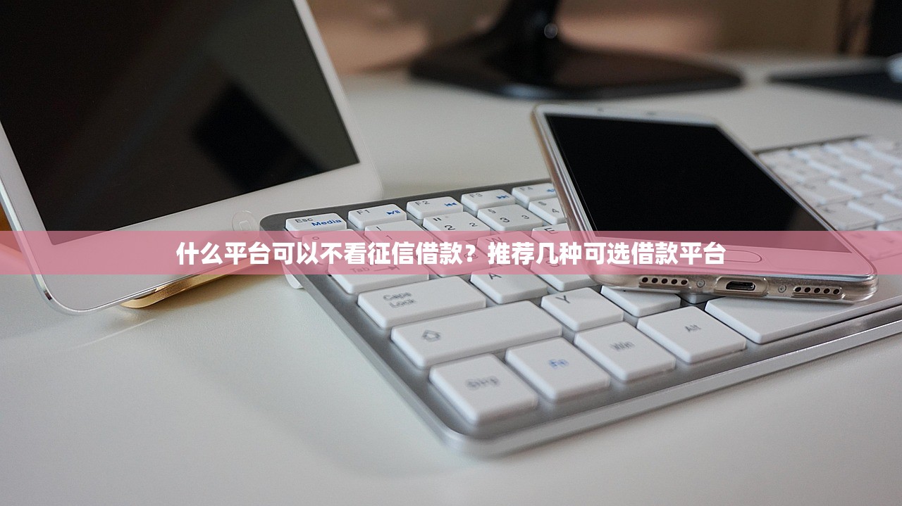 什么平台可以不看征信借款?推荐几种可选借款平台 什么平台可以不看征信借款?推荐几种可选借款平台