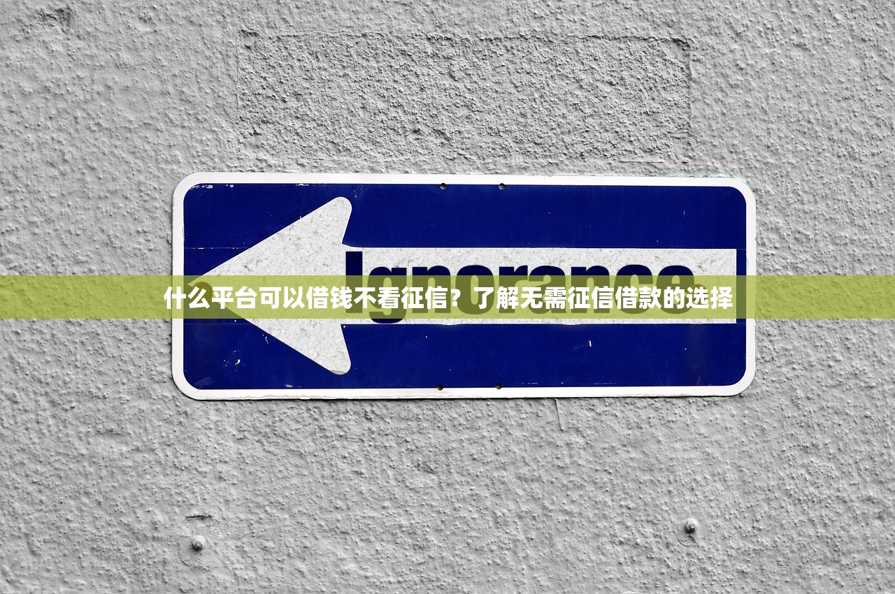 什么平台可以借钱不看征信?了解无需征信借款的选择 什么平台可以借钱不看征信?了解无需征信借款的选择