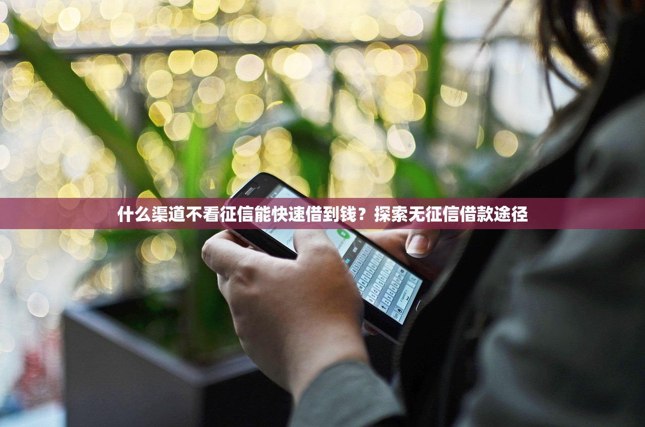 什么渠道不看征信能快速借到钱?探索无征信借款途径 什么渠道不看征信能快速借到钱?探索无征信借款途径