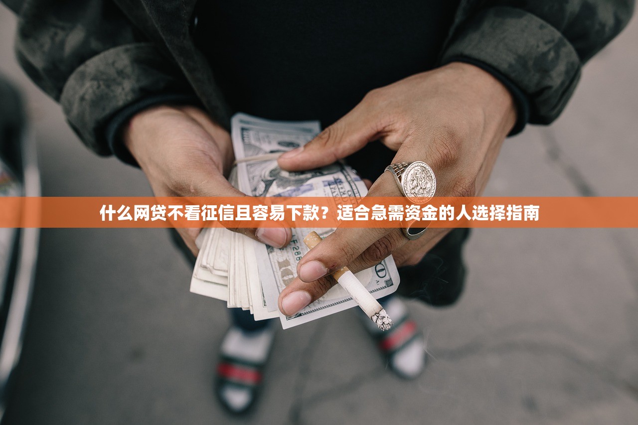 什么网贷不看征信且容易下款?适合急需资金的人选择指南 什么网贷不看征信且容易下款?适合急需资金的人选择指南