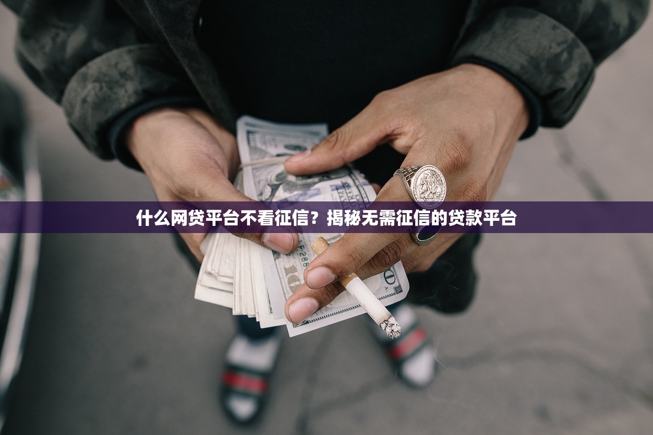 什么网贷平台不看征信?揭秘无需征信的贷款平台 什么网贷平台不看征信?揭秘无需征信的贷款平台