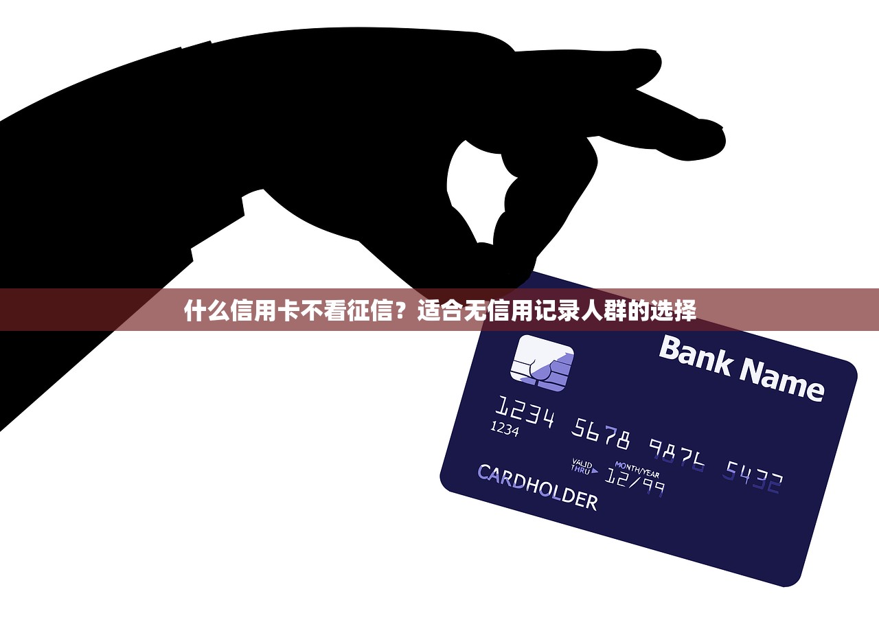 什么信用卡不看征信?适合无信用记录人群的选择 什么信用卡不看征信?适合无信用记录人群的选择