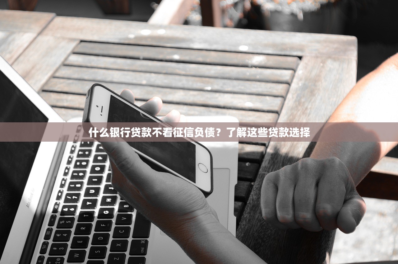 2025年支付宝蚂蚁借钱，推荐5个平台征信花可以下款