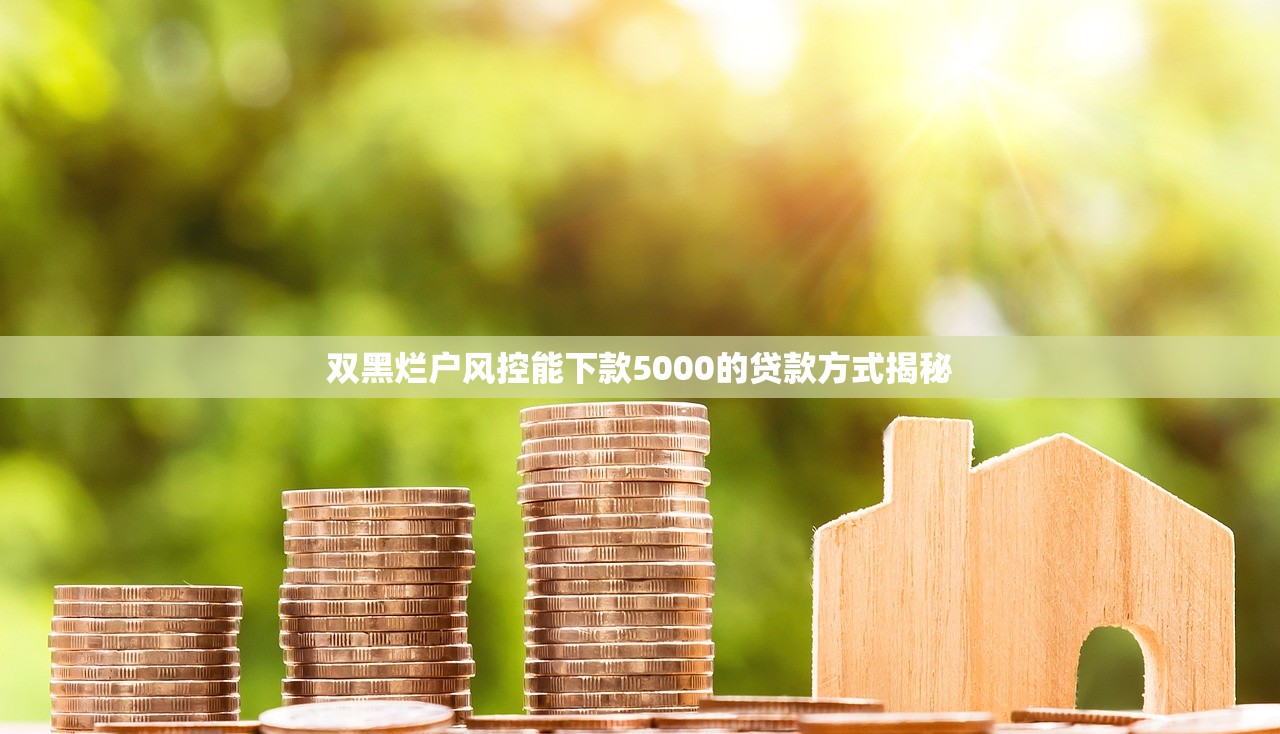 双黑烂户风控能下款5000的贷款方式揭秘 双黑烂户风控能下款5000的贷款方式揭秘