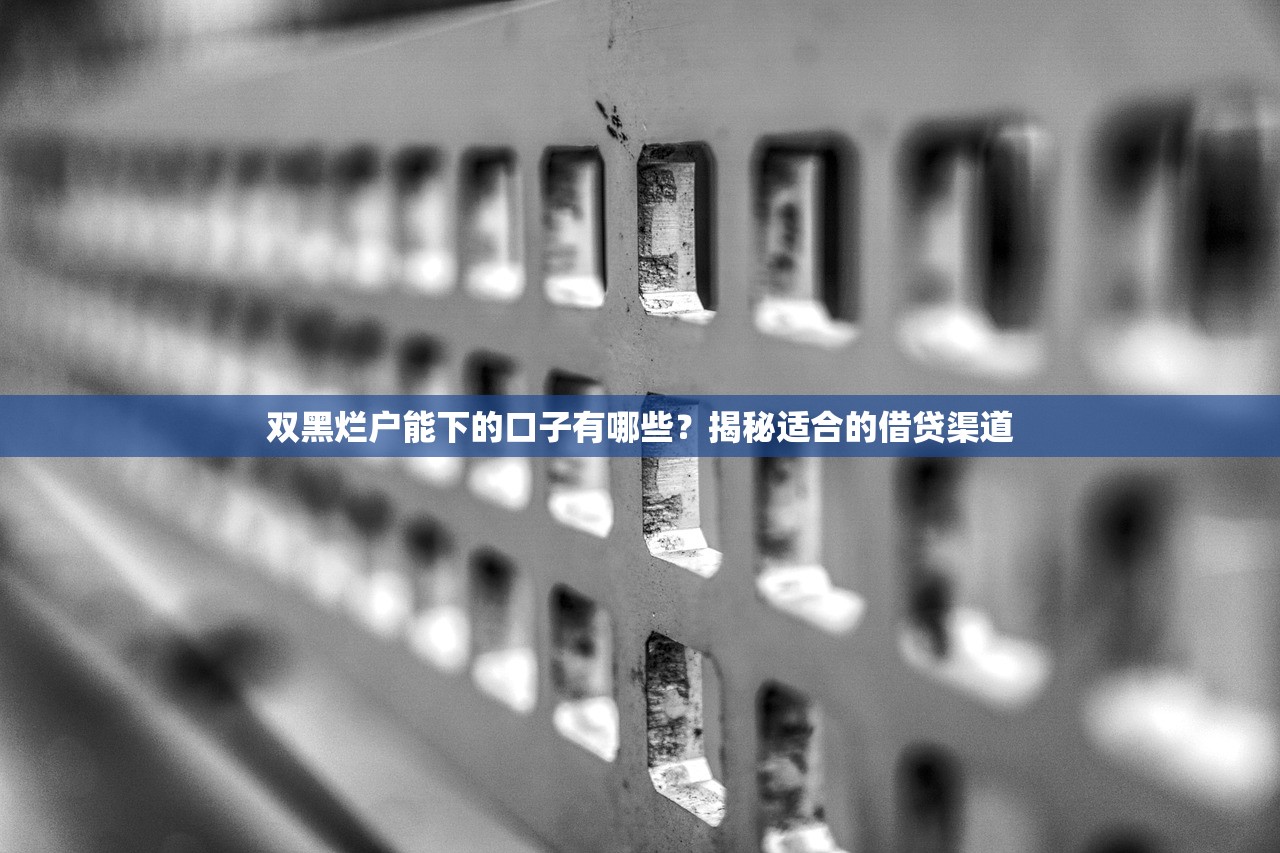 双黑烂户能下的口子有哪些?揭秘适合的借贷渠道 双黑烂户能下的口子有哪些?揭秘适合的借贷渠道