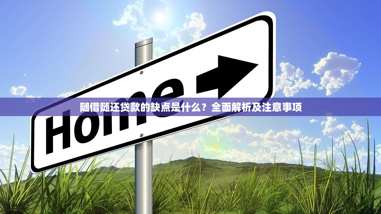 随借随还贷款的缺点是什么？全面解析及注意事项