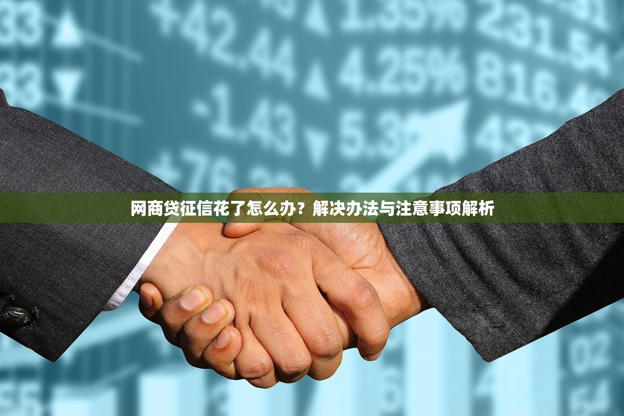网商贷征信花了怎么办？解决办法与注意事项解析