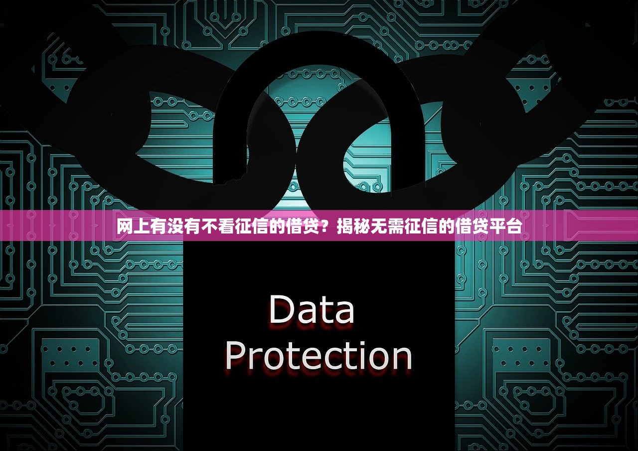 网上有没有不看征信的借贷？揭秘无需征信的借贷平台