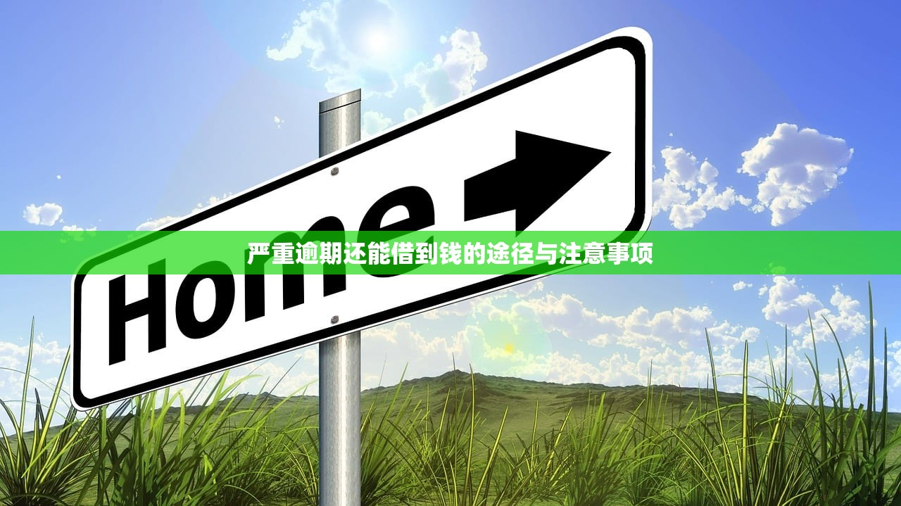 严重逾期还能借到钱的途径与注意事项