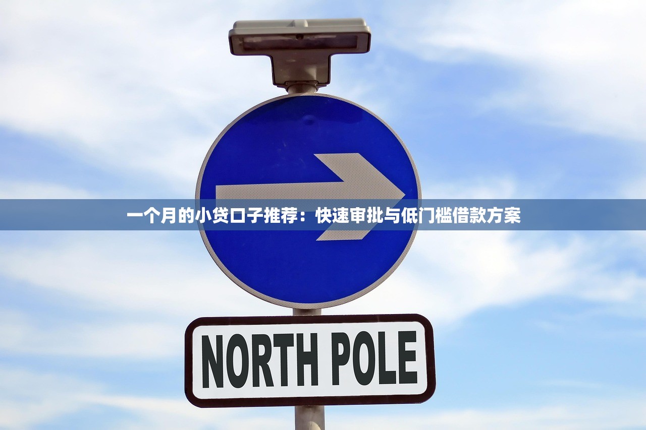 一个月的小贷口子推荐：快速审批与低门槛借款方案