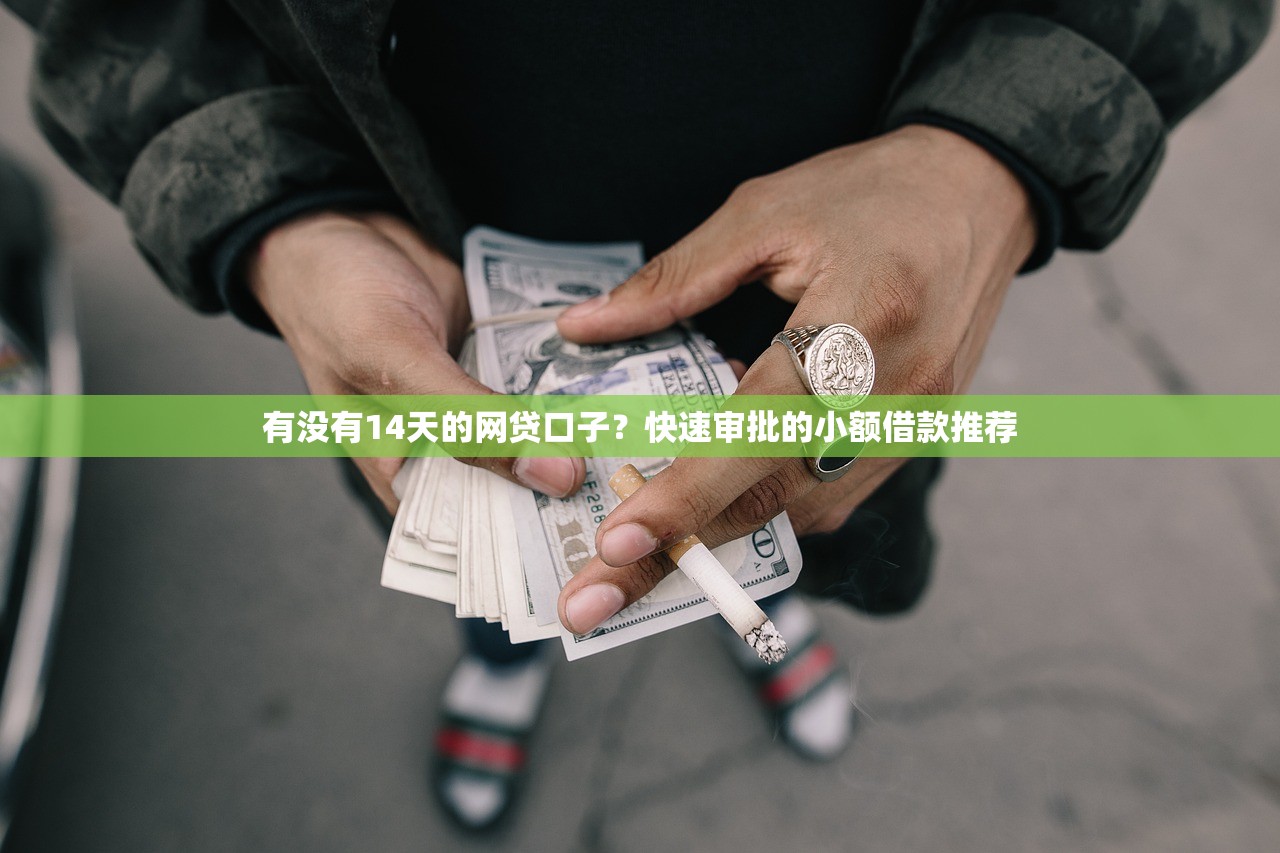 有没有14天的网贷口子？快速审批的小额借款推荐