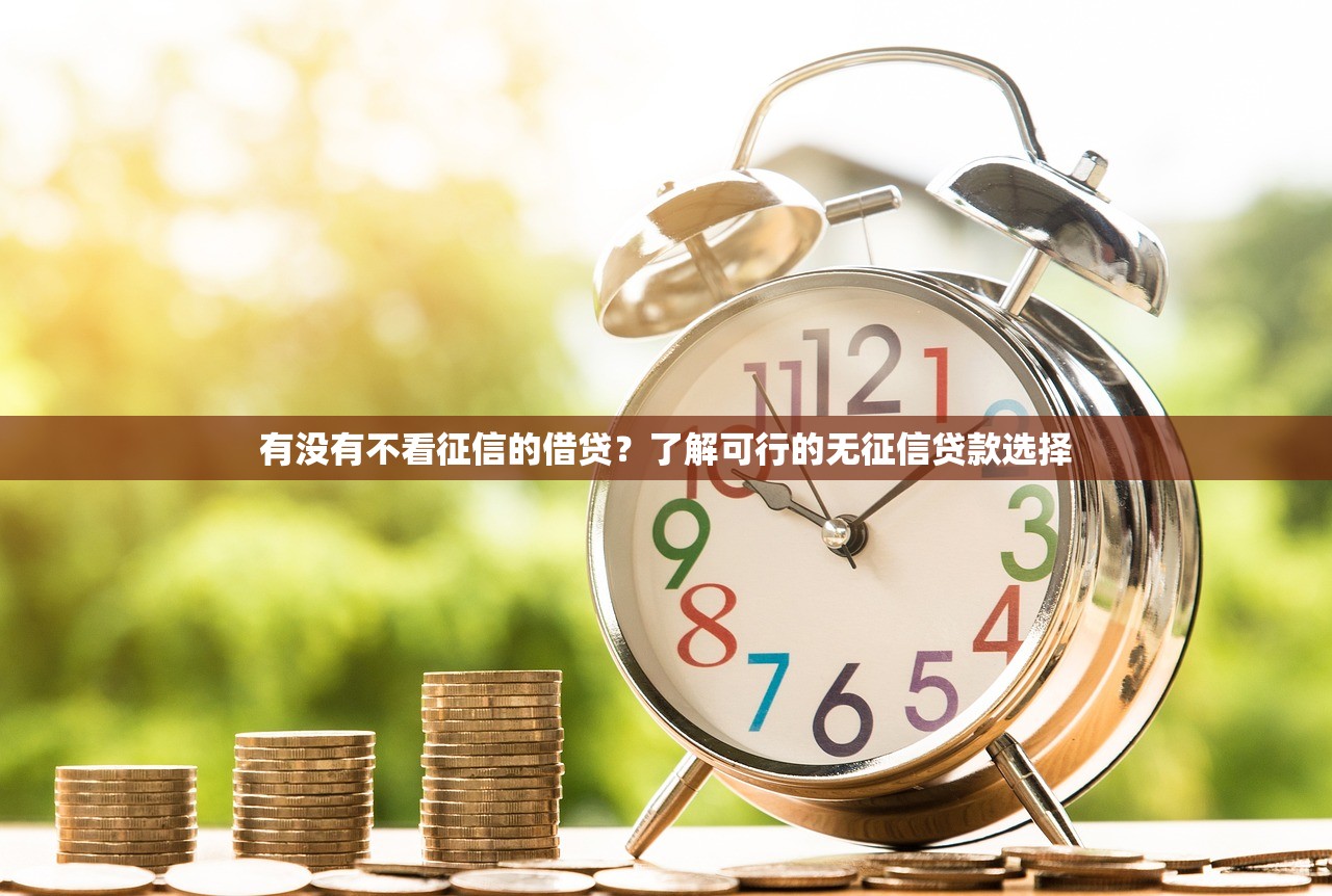 有没有不看征信的借贷?了解可行的无征信贷款选择 有没有不看征信的借贷?了解可行的无征信贷款选择
