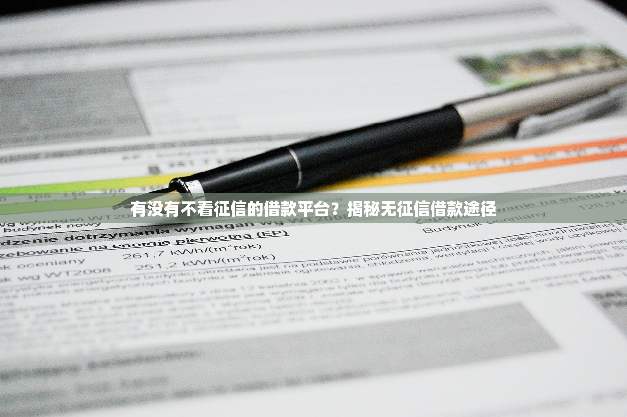有没有不看征信的借款平台？揭秘无征信借款途径