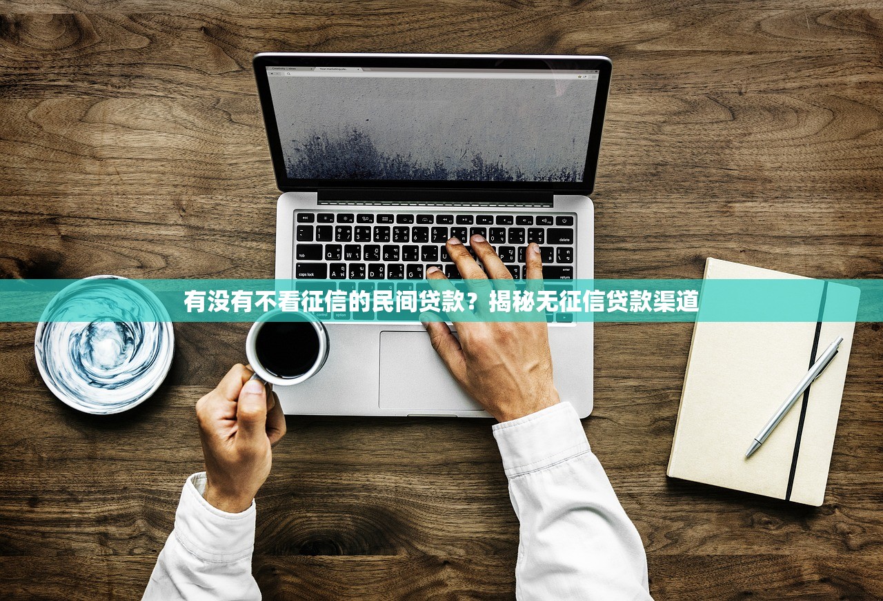 有没有不看征信的民间贷款？揭秘无征信贷款渠道