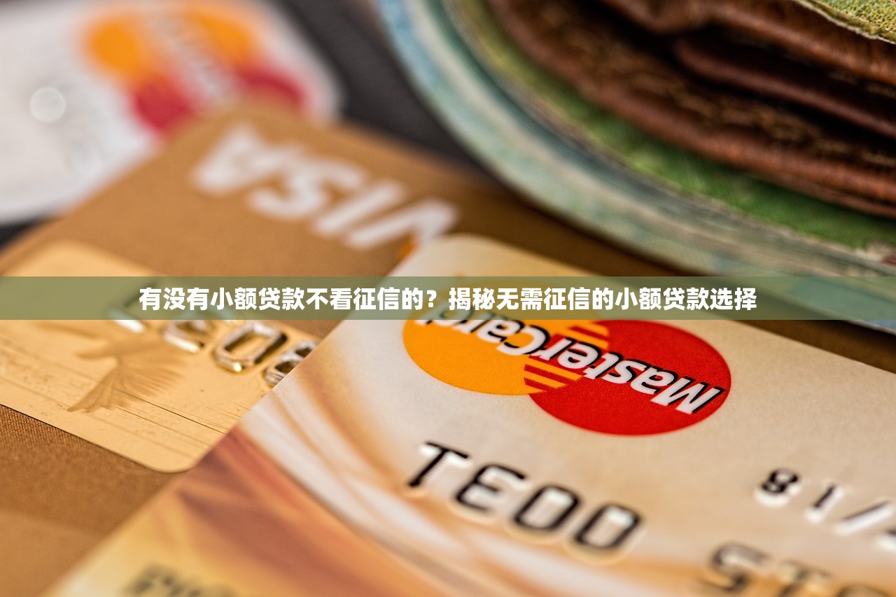 有没有小额贷款不看征信的？揭秘无需征信的小额贷款选择