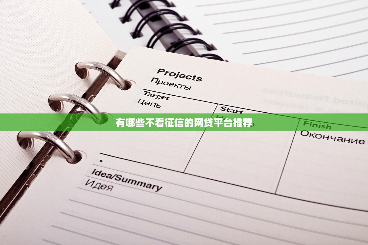 2025年年薪百万申请信用卡被拒？分享五个不审核征信的贷款平台
