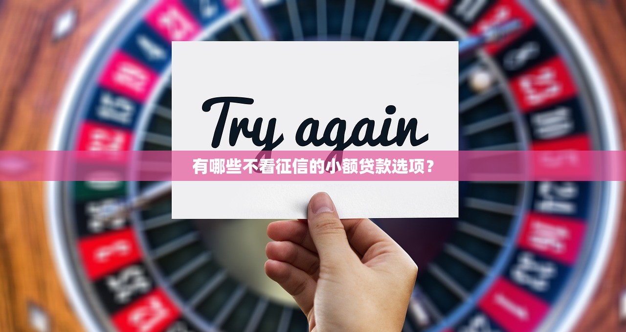 有哪些不看征信的小额贷款选项？