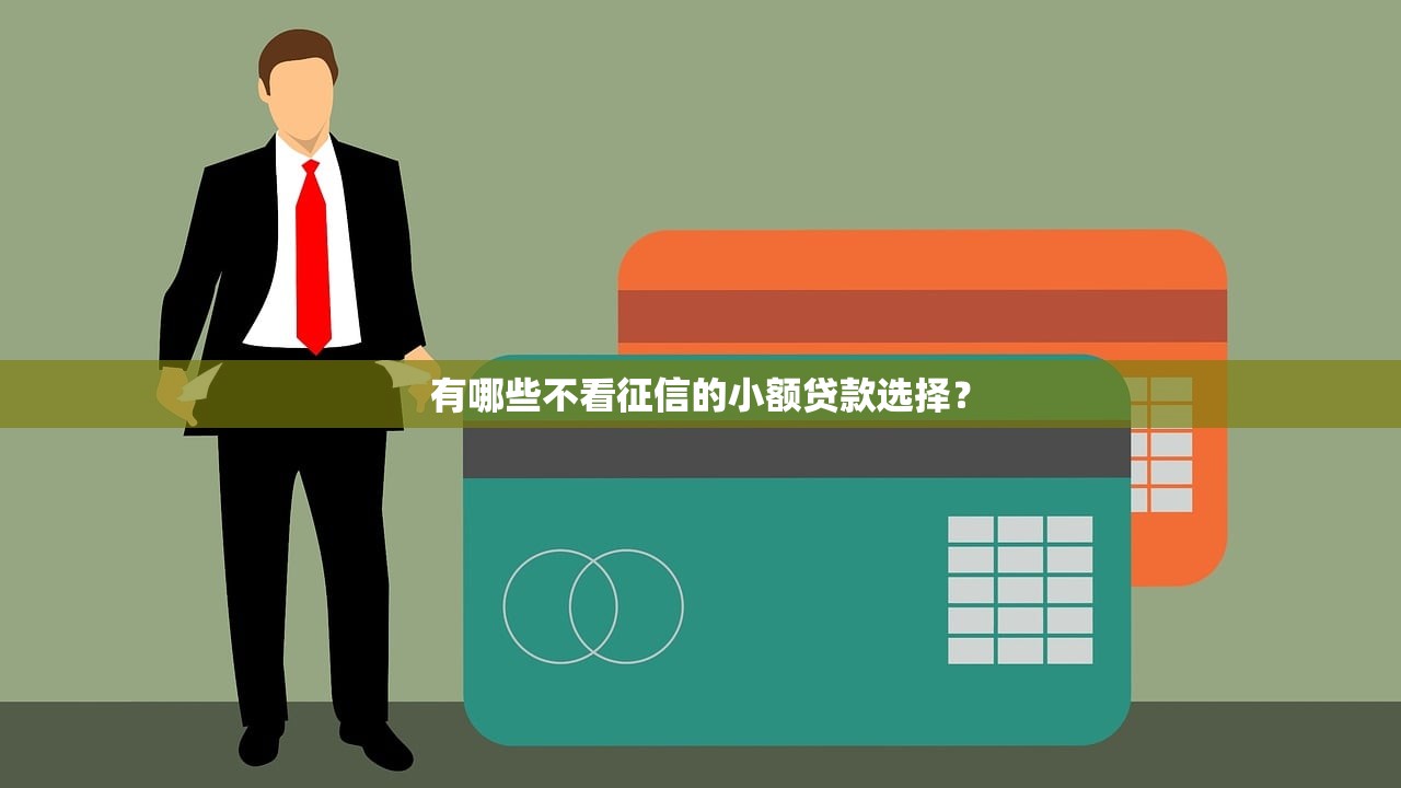 有哪些不看征信的小额贷款选择? 有哪些不看征信的小额贷款选择?