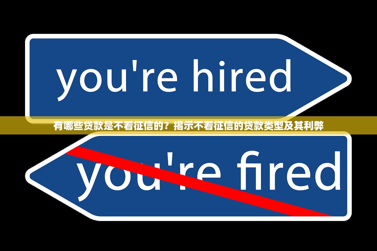 有哪些贷款是不看征信的？揭示不看征信的贷款类型及其利弊