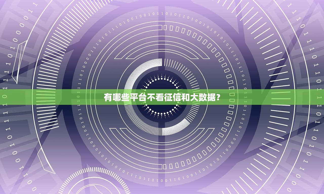 有哪些平台不看征信和大数据？