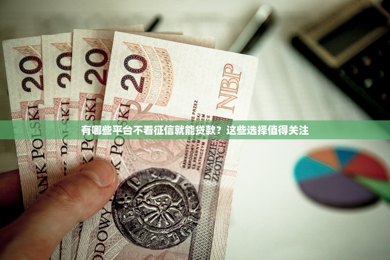 有哪些平台不看征信就能贷款?这些选择值得关注 有哪些平台不看征信就能贷款?这些选择值得关注
