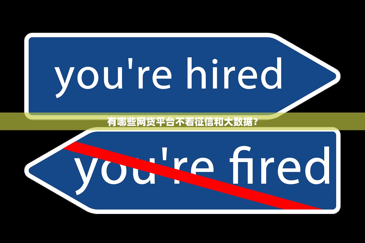 有哪些网贷平台不看征信和大数据？