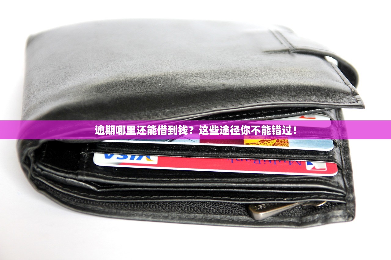逾期哪里还能借到钱？这些途径你不能错过！