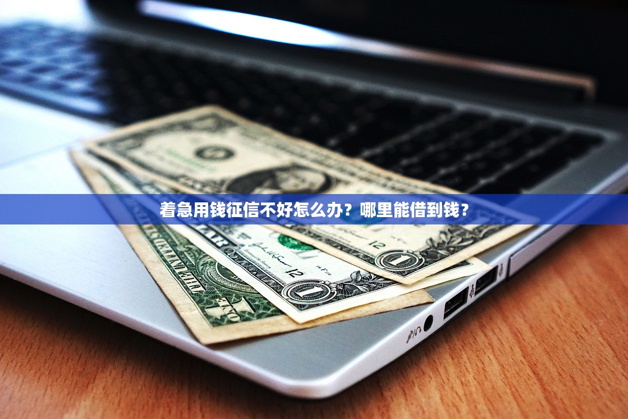 哪里可以寻找高炮口子？这5个正规渠道值得试试