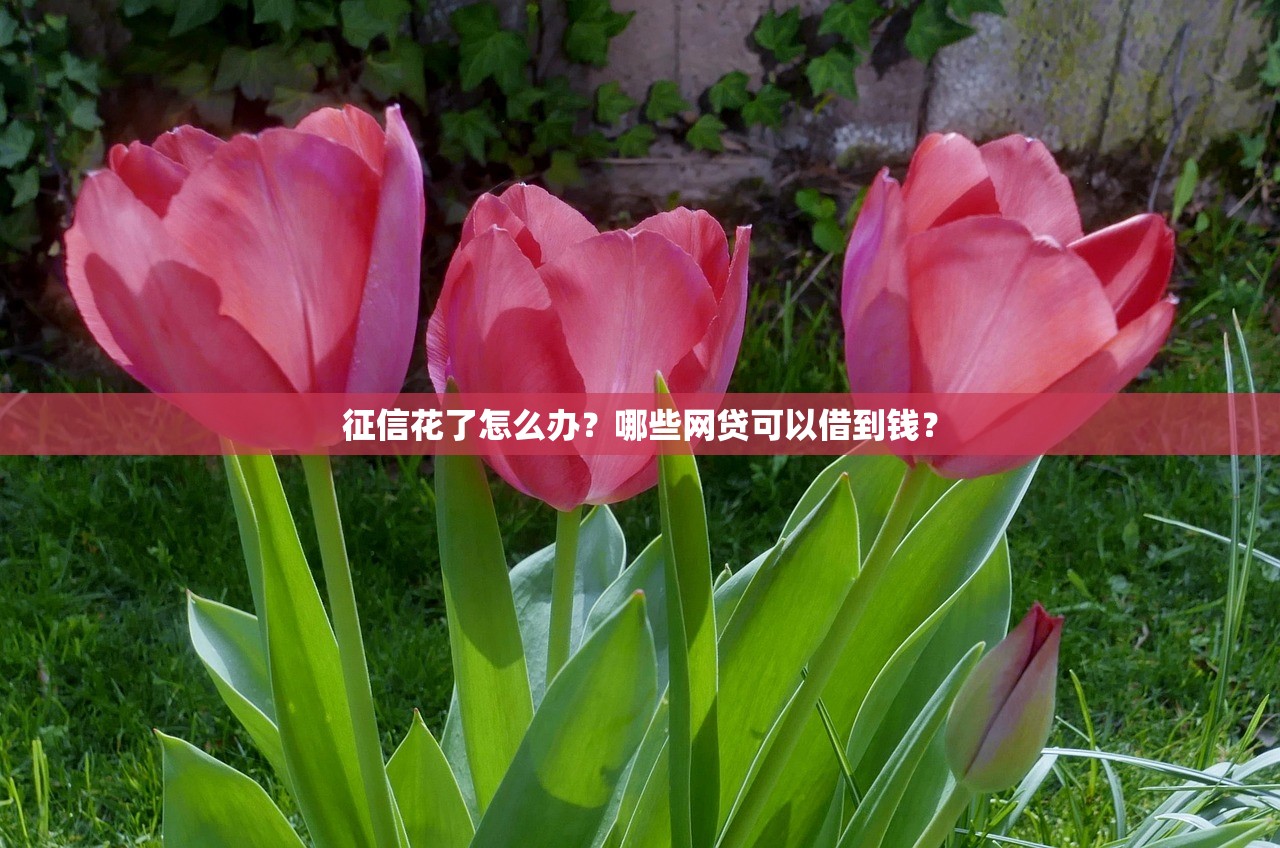 找哪里借钱不上征信？这5个靠谱渠道试试看，审核快门槛低