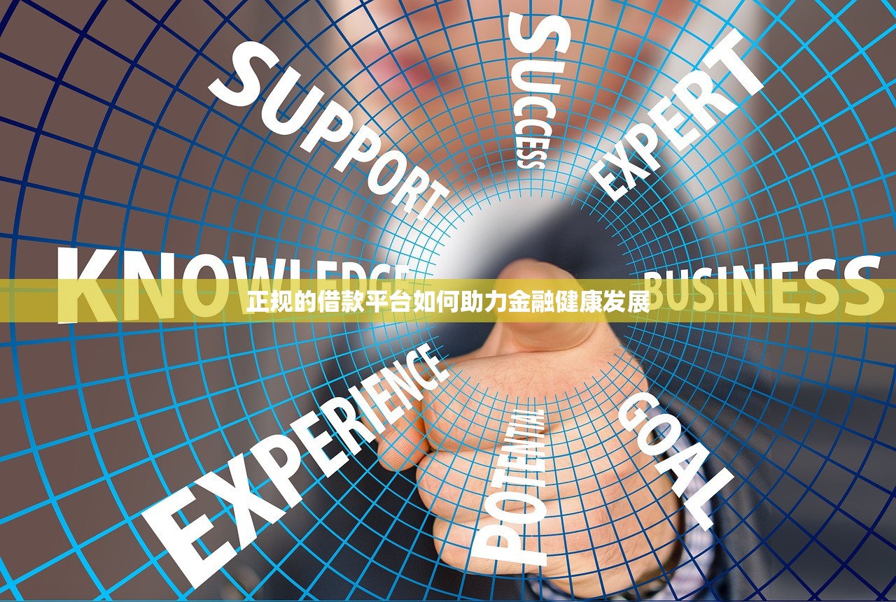 正规的借款平台如何助力金融健康发展