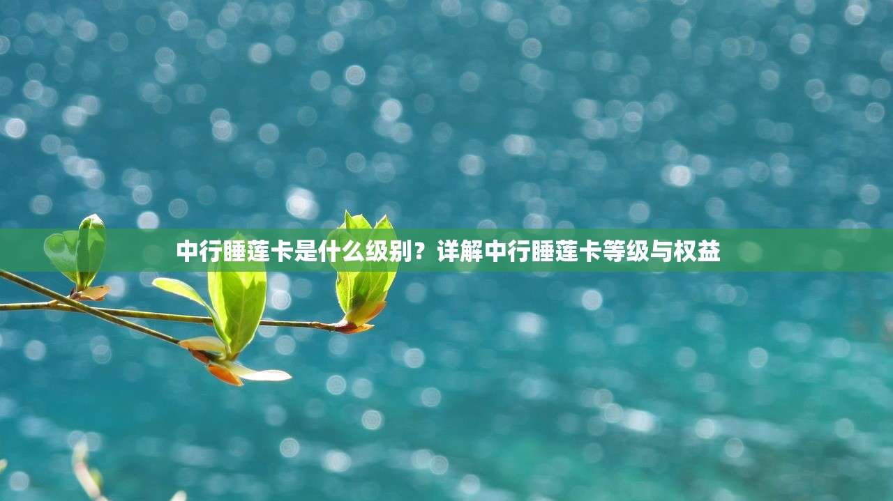 中行睡莲卡是什么级别？详解中行睡莲卡等级与权益