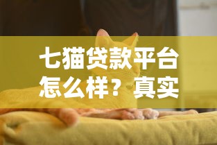 2025年双黑能下的高炮：看看这5个老赖必下口子