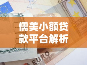 儒美小额贷款平台解析：资质、产品及申请流程全指南
