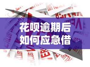哪些口子是2k额度下款1600的？实测3个小额贷款平台推荐