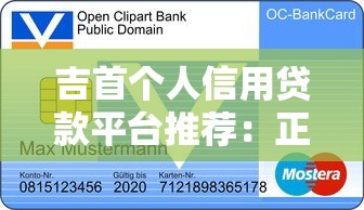 飞天猪系列口子有哪些？这5个平台审核快、额度高