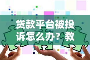 HP网贷贷款申请平台源码程序：高效搭建与合规运营指南