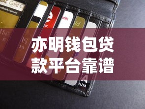 亦明钱包贷款平台靠谱吗？用户真实评测与申请攻略