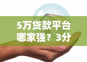 网贷不上征信查询系统？这些知识点得提前摸清！