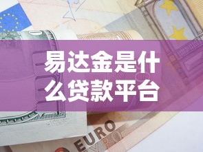 易达金是什么贷款平台？全面解析申请条件与使用技巧
