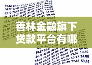 善林金融旗下贷款平台有哪些?这5个产品值得关注 善林金融旗下贷款平台有哪些?这5个产品值得关注