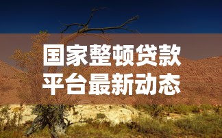 国家整顿贷款平台最新动态及用户应对策略分析