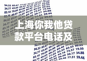 上海你我他贷款平台电话及贷款服务全解析 - 快速获取资金攻略