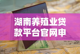 征信花了怎么网贷5w？三招教你成功下款秘籍