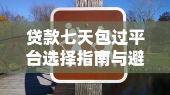 贷款七天包过平台选择指南与避坑技巧 贷款七天包过平台选择指南与避坑技巧
