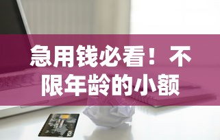 急用钱必看!不限年龄的小额贷款平台推荐及申请攻略 急用钱必看!不限年龄的小额贷款平台推荐及申请攻略