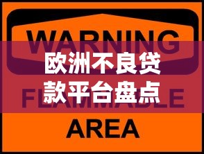 2025年网贷下款的口子，罗列5个征信访问次数太多贷款被秒拒还能在平台借款