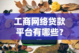 黑户分期借钱平台什么最好下款？实测3个真实下款案例
